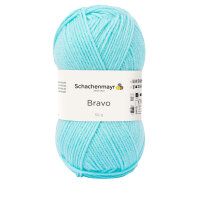 Schachenmayr Bravo 50g mintblau