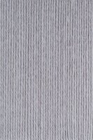 Regia Silk 100g silbergrau