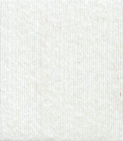 Regia Silk 100g weiß