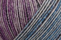 Regia Merino Yak color 100g 8515 Dragonfly color